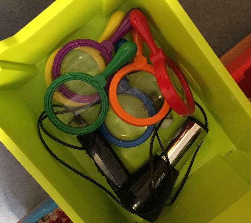 Bunte Lupen für kleine Entdeckungen